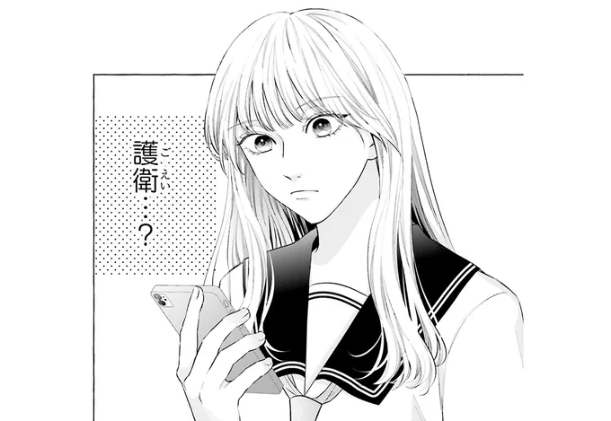 護衛…?