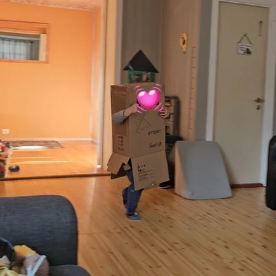 ベビーカーの入っていた箱で遊ぶ息子さん▶ここが落ち着く（⇒次へ）