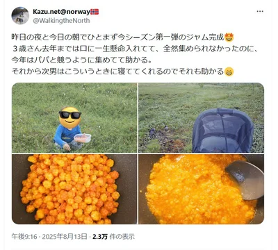 ジャムのためにベリー集め▶仕事人（⇒次へ）