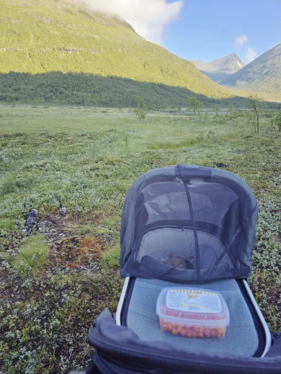 ノルウェーの美しい景色▶集め終わり（⇒次へ）