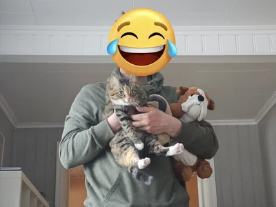 ぬいぐるみ…と猫ちゃん！▶見守っています（⇒次へ）