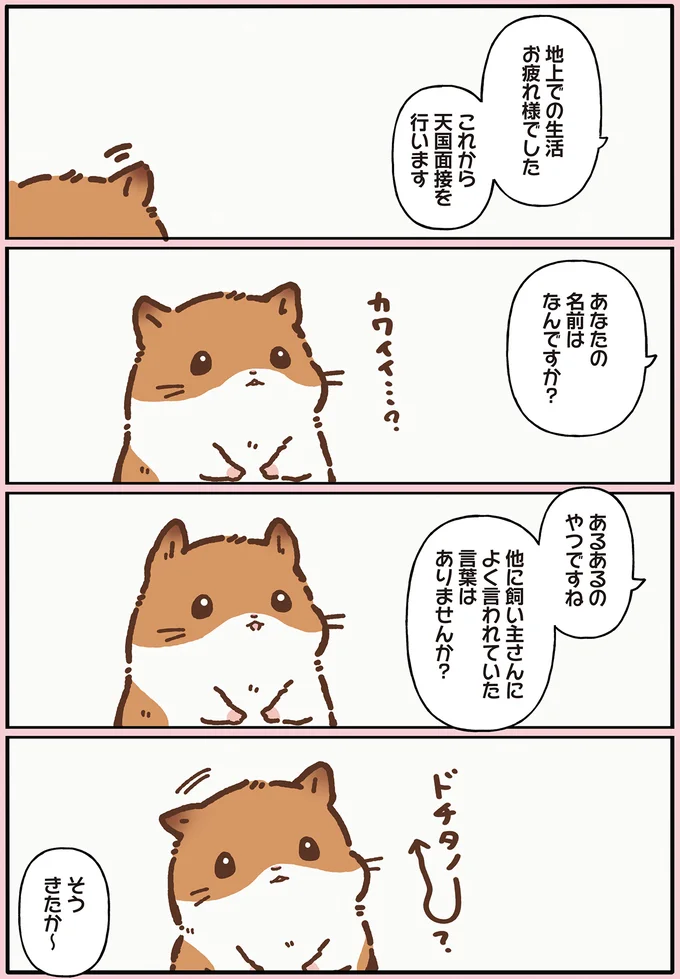 名前はなんですか？