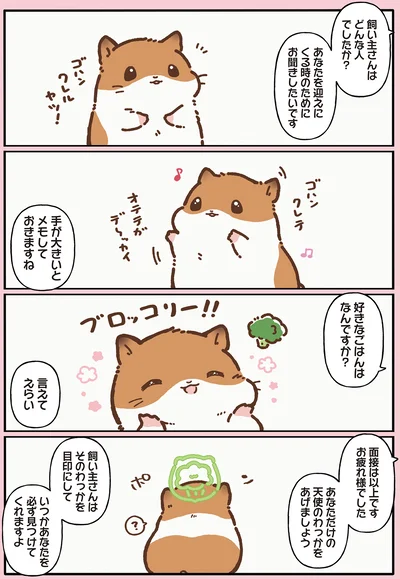 飼い主さんはどんな人でしたか？