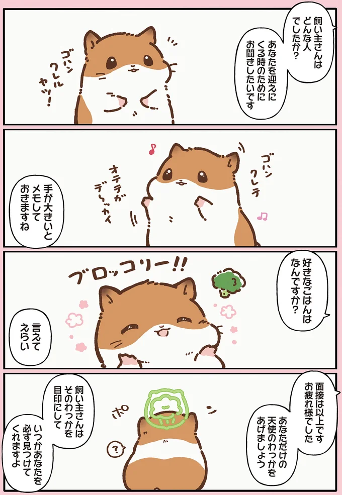 飼い主さんはどんな人でしたか？