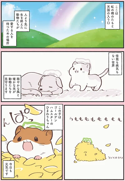 『ひまちゃんと天国の面接』より