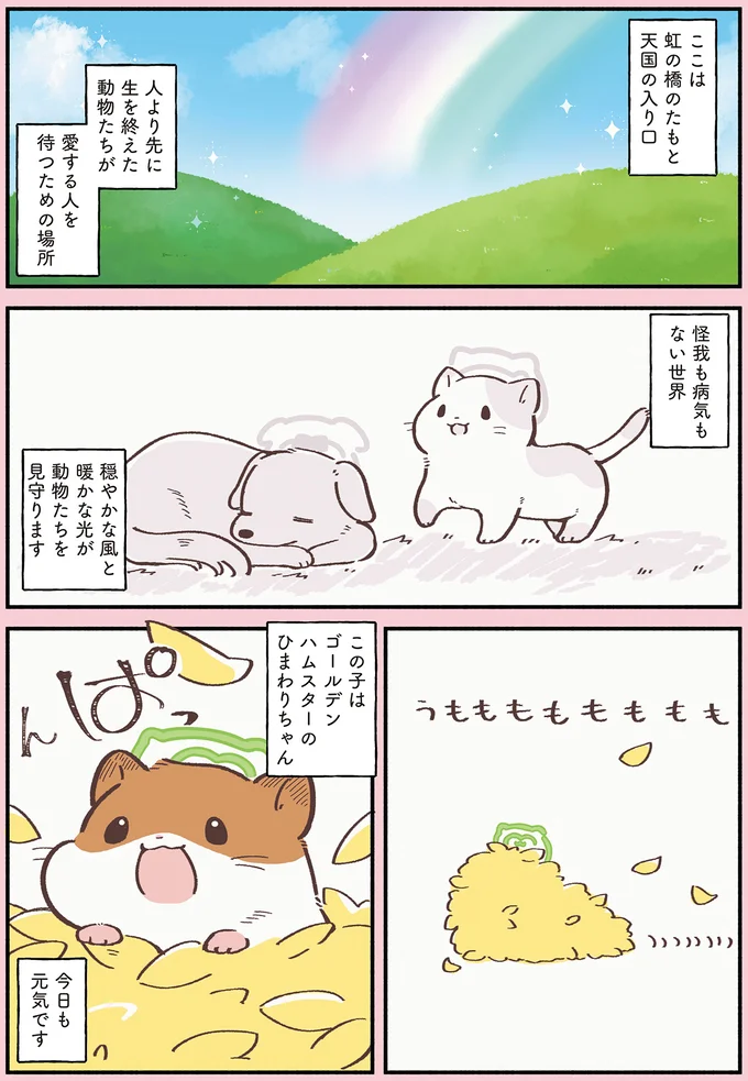 『ひまちゃんと天国の面接』より