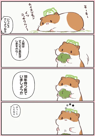 『ひまちゃんと天国の面接』より
