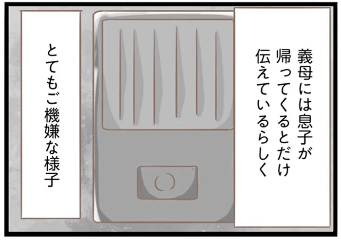 結婚の挨拶のため義実家へ。息子が帰ってくるとしか知らされてない義母は…／前科持ちの義母と同居していた話（13）