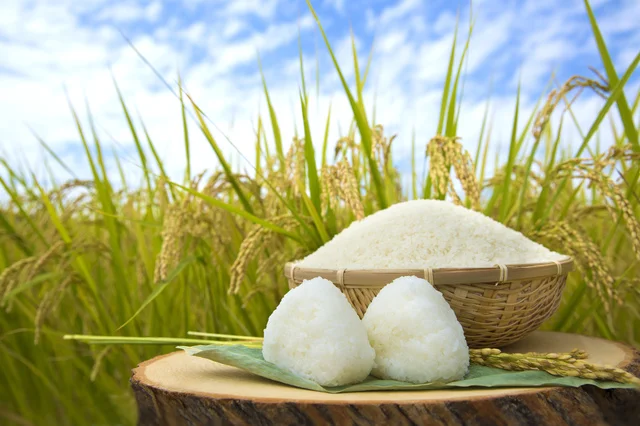 【写真】あなたが食べているお米も、DNA鑑定されたものかもしれません。