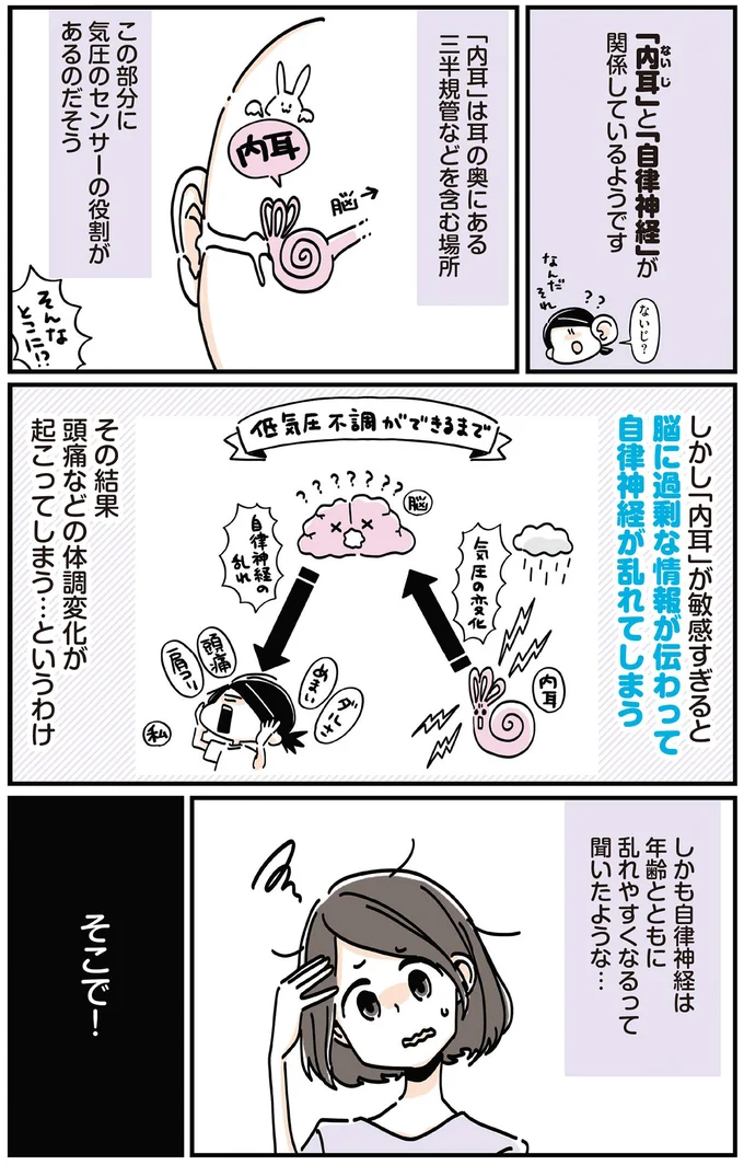 「内耳」と「自律神経」が関係しているようです