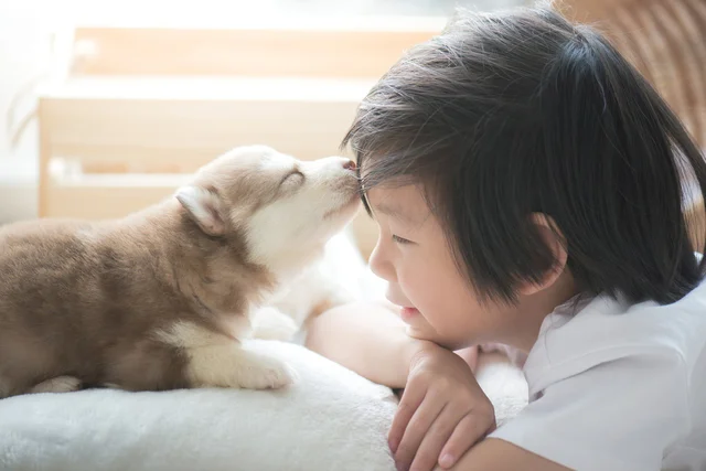 「どうしよう！？テレビ台の下に…！」ピンチの1歳児＆ワンコのシンクロする姿