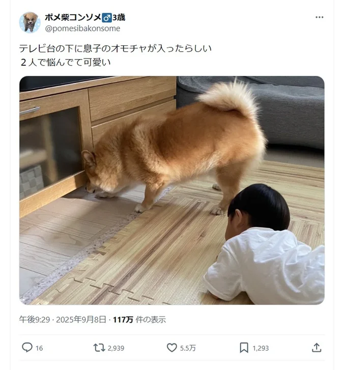 どうしよう？▶ワンコと赤ちゃん、一緒の方向を見つめているようです（⇒次へ）