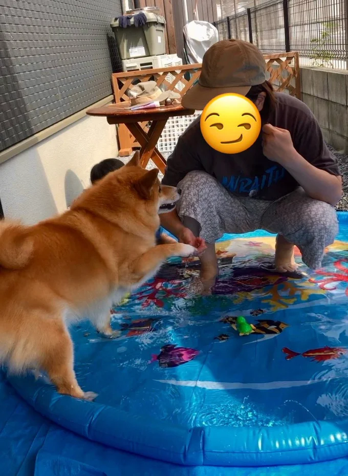 オヤツでプールにイン！▶ぽかぽか気持ちよさそう（⇒次へ）