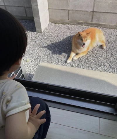 コンソメちゃんの日向ぼっこを見守るお子さま▶まだまだお散歩したいよ～（⇒次へ）