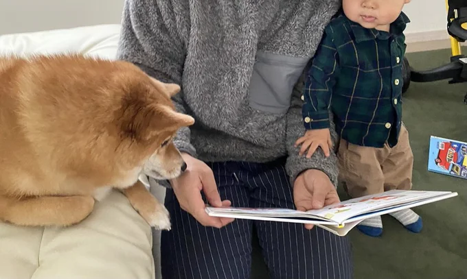 コンソメちゃんとお子さまに本の読み聞かせ▶（次画像からは言葉は通じないはずなのに心は通い合う、そんな愛犬との十余年にわたる日々の記録『おはよう、サンテ　不登校の私を救った愛犬との日々』が読めます）