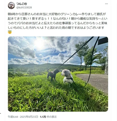 グリーンカレーはパパのお弁当でした。大人になったらわかるおいしさ♪▶娘さんと愛犬つんちゃん（⇒次へ）