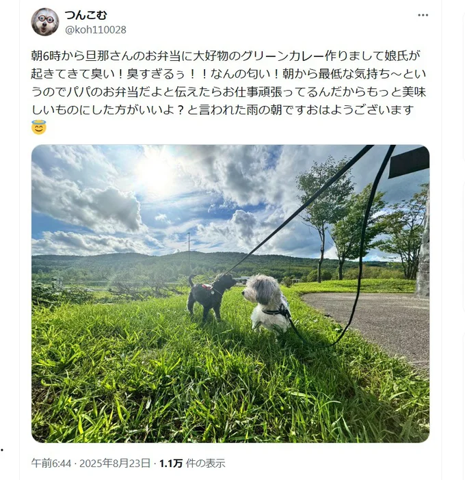 グリーンカレーはパパのお弁当でした。大人になったらわかるおいしさ♪▶娘さんと愛犬つんちゃん（⇒次へ）