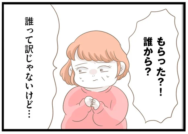 ついに義母が白状。「もらってきた」と言い張っていた箱の中身の真実／前科持ちの義母と同居していた話（33）