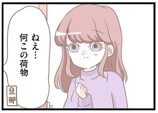 それは何…？義母が荷物を抱えて家に訪ねてきた目的／前科持ちの義母と同居していた話（50）