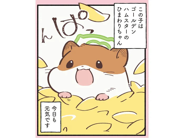 天国の入口で愛する人を待つ動物たち。ハムスターは元気に過ごしています