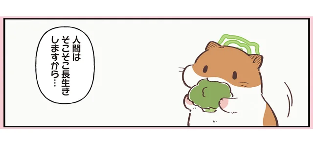 飼い主ちゃんはいつ来るの？ 天国の入口で待つハムスターが聞いた衝撃の事実
