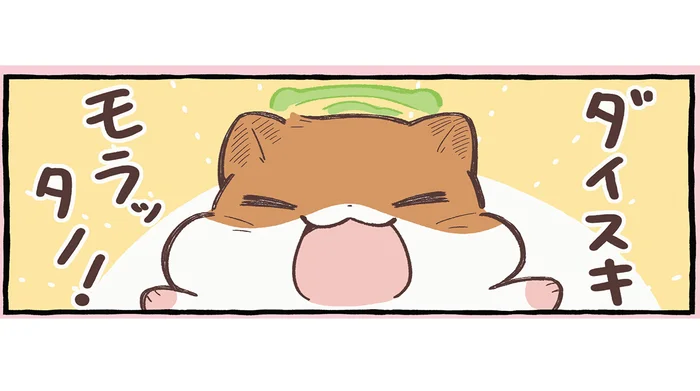 「いっぱい『大好き』もらったの！」天国のハムスターが嬉しそうに笑う理由／ひまちゃんと天国の面接（6）