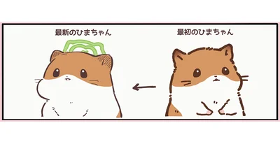 最初のひまちゃんと最新のひまちゃん