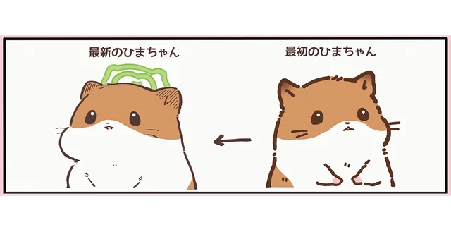 もしや太った？ 天国に来たばかりの頃と今ではフォルムが異なるハムスター