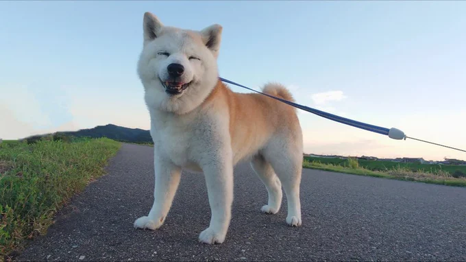 長女のククリちゃん▶お気に入りの枕（⇒次へ）