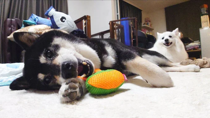 まったり過ごすひなたちゃんと楽くん▶うまいうまい！（⇒次へ）