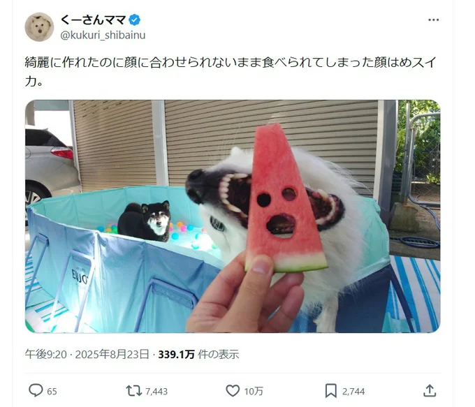 綺麗に作れたのに顔に合わせられないまま食べられてしまった顔はめスイカ▶大きなお口で（⇒次へ）