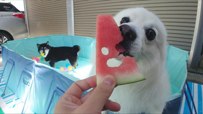 ボールで遊んでいる場合じゃない！▶ちょっといいですか？（⇒次へ）