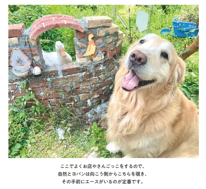 『エースくんとヨバンさん 犬とアヒルの友情物語』より