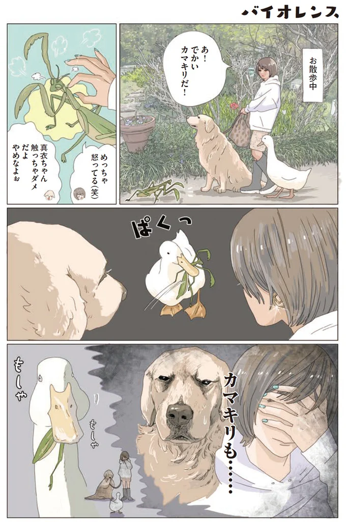 『エースくんとヨバンさん 犬とアヒルの友情物語』より
