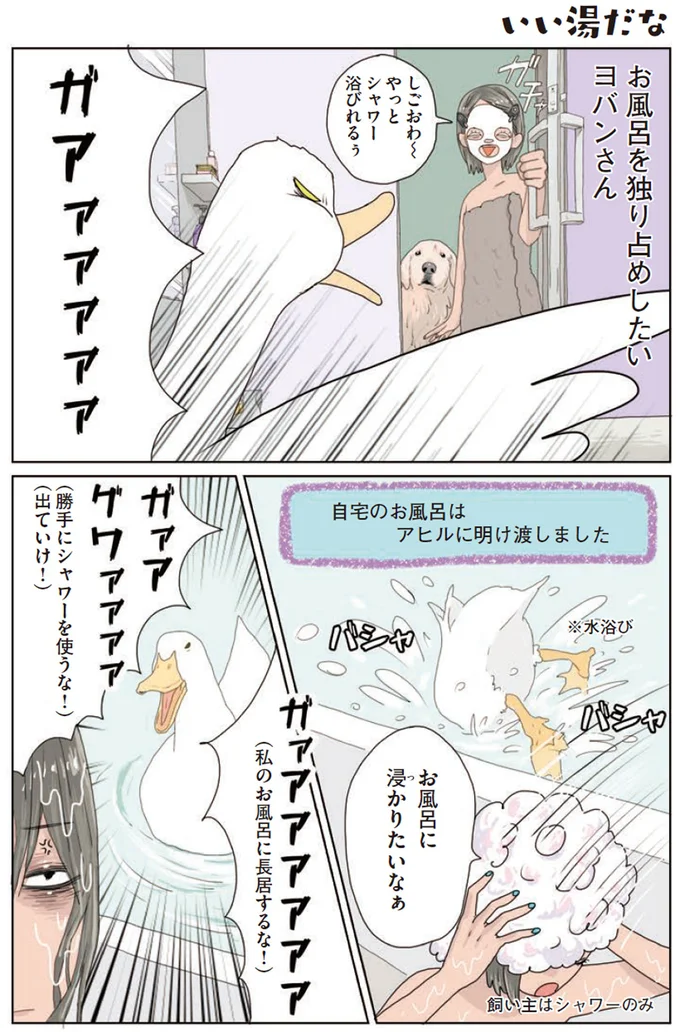 『エースくんとヨバンさん 犬とアヒルの友情物語』より