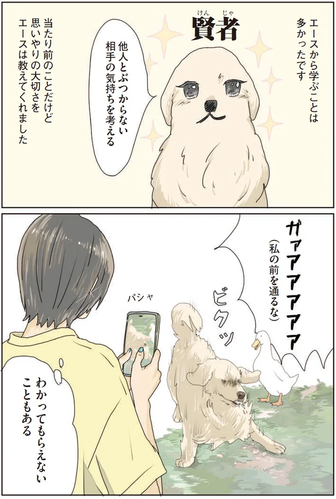 『エースくんとヨバンさん 犬とアヒルの友情物語』より
