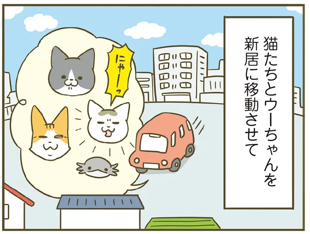 無事に引っ越し完了！ 荷物を運び入れたあとにペットたちを移動させて新生活がスタート