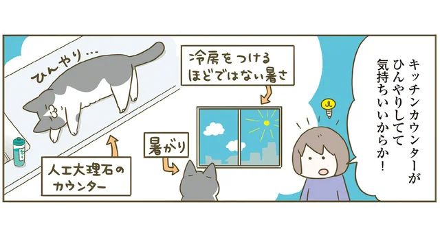 猫がひんやりしている場所に落ちている季節。「暑かったんだね」飼い主の配慮に猫は
