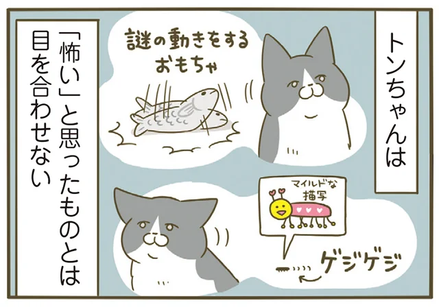 怖いと思ったものと目を合わせない猫。イレギュラーなものに遭遇したときはどうなる？