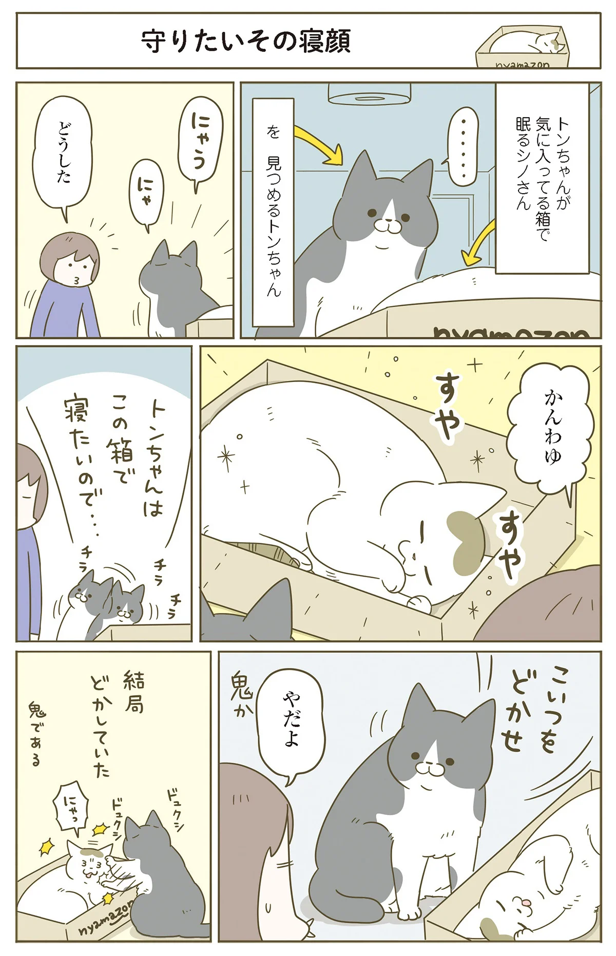 一体どうした？ 自分が気に入っている箱で眠る他の子を見て、飼い主を