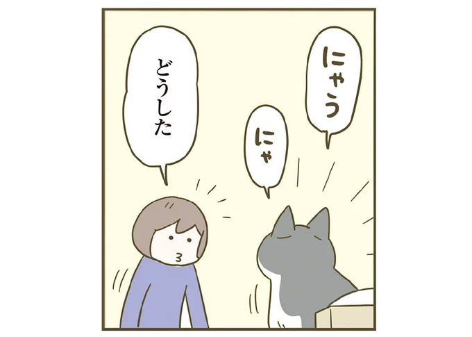 どうした
