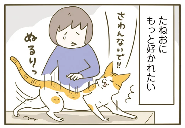 ああ、もっと好かれたい！ 猫からの愛を受けたい飼い主の作戦とは