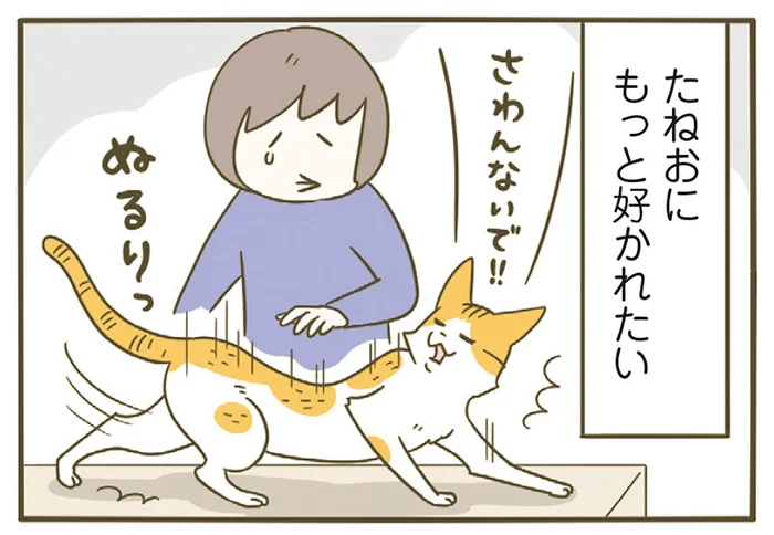 ああ、もっと好かれたい！ 猫からの愛を受けたい飼い主の作戦とは