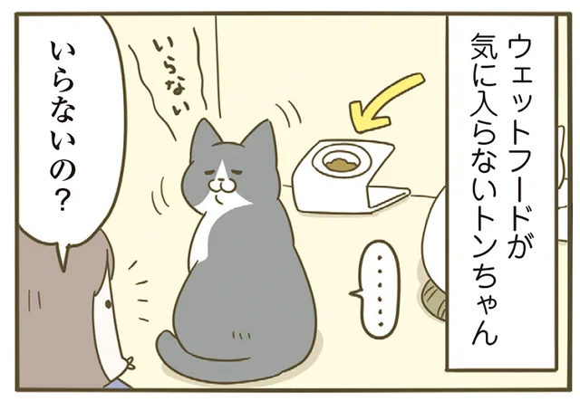 もらった食事が気に入らない猫。後輩たちに分け与えたときに見せる表情がスゴい