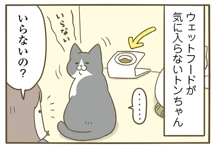もらった食事が気に入らない猫。後輩たちに分け与えたときに見せる表情がスゴい／うちの猫がまた変なことしてる。 7（9）