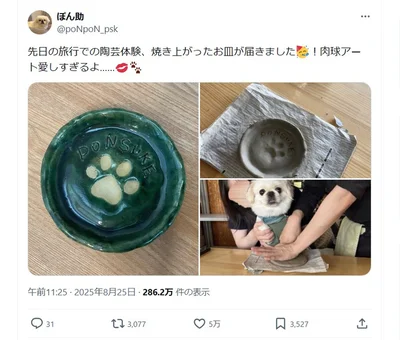 旅行での陶芸体験で制作された肉球アート▶くっきりとした肉球が可愛い！（⇒次へ）