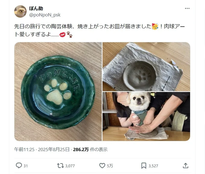 旅行での陶芸体験で制作された肉球アート▶くっきりとした肉球が可愛い!(⇒次へ)