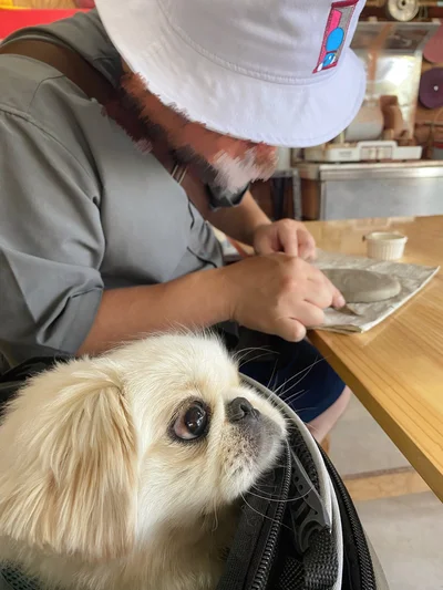 制作中▶ぽん助ちゃんが見守っています（⇒次へ）