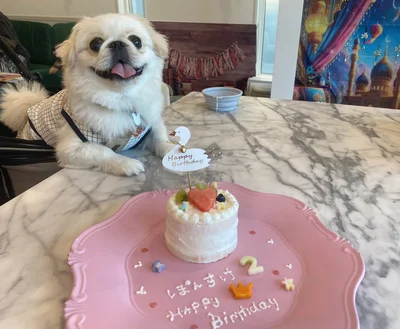 ぽん助ちゃんのお誕生日会▶バースデープレートもおしゃれです（⇒次へ）