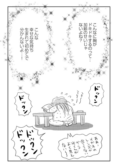 『ハルコの恋　55歳の私が35歳年下のアイドルを好きになったらダメですか？』より